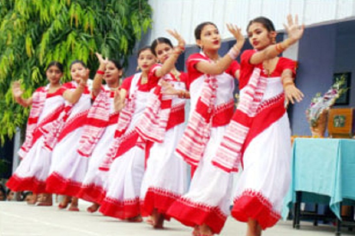 DAV Senior Secondary Public School-Others