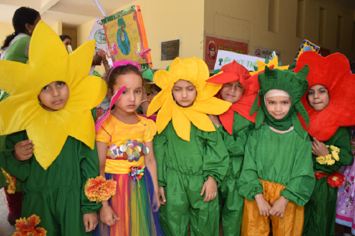 Dav Public School-Fancy Dress