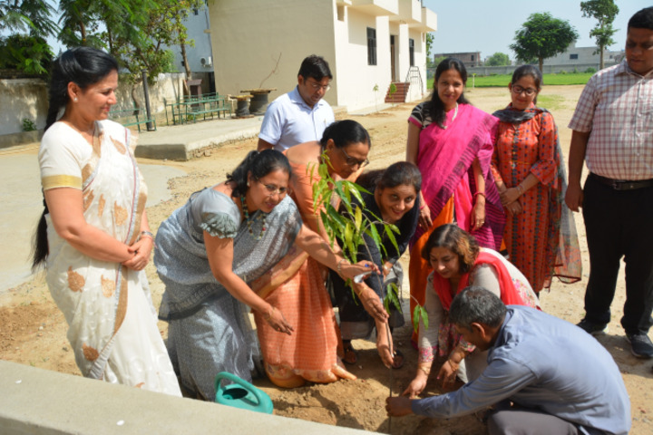 Dav Public School-Plantation