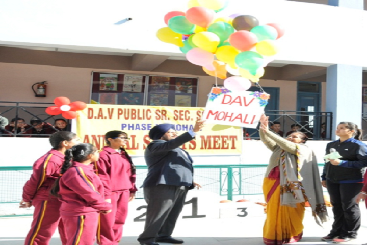 Dav Public Senior Secondary School- Others