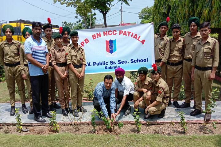 Dav Public Senior Secondary School-Plantation
