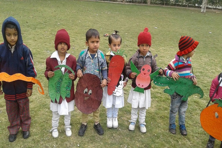Dayanand Chanan Lal Senior Secondary School-Fancy Dress