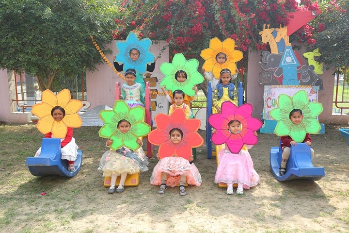Dayanand Model Senior Secondary School-Activities