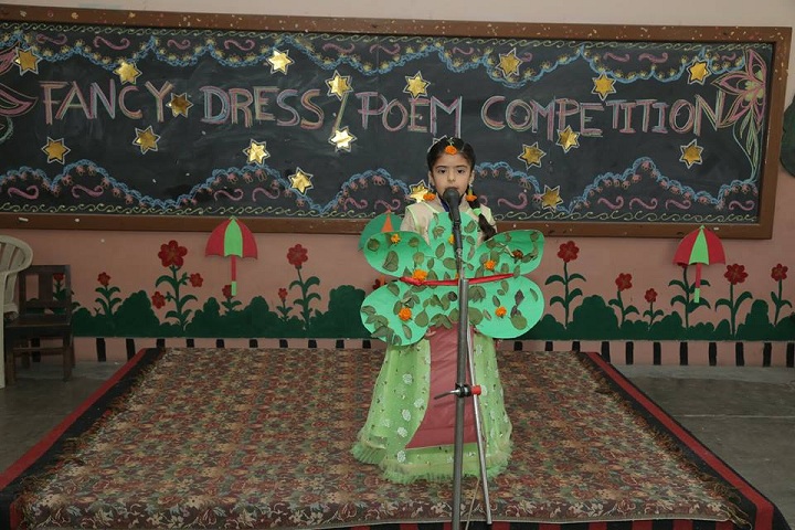 Dayanand Model Senior Secondary School-Fancy Dress