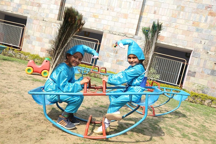 Dayanand Model Senior Secondary School-Playground