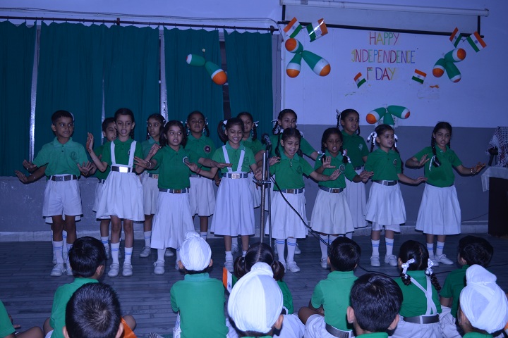 Dayanand Public School-Independence day Celebration