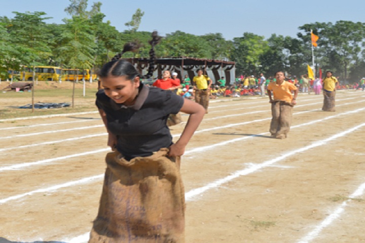 Dayanand Public School-Sports