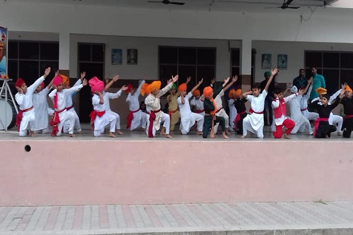 Dayanand Public School-Annual day