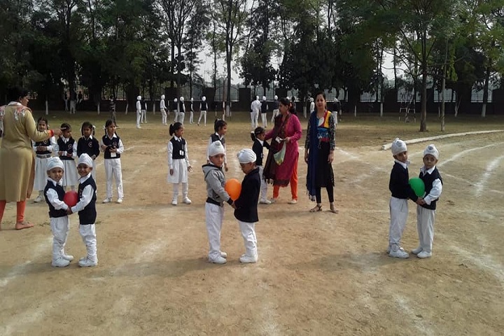 Dayanand Public School-Sports