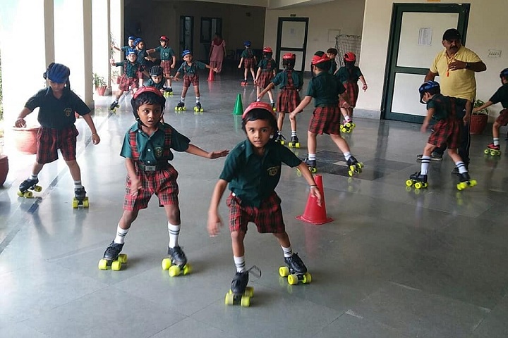 Delhi Public School- Skating