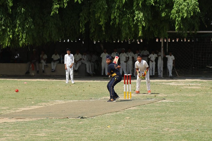 Delhi Public School- Cricket