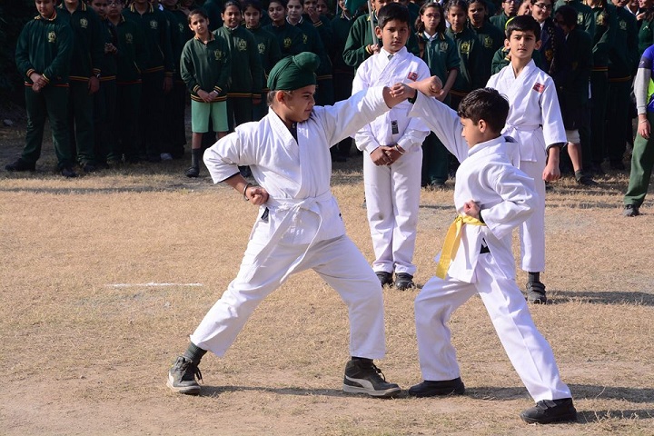 Delhi Public School- Karate