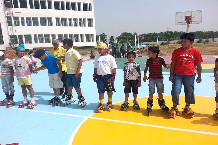 Delhi Public School-Skating