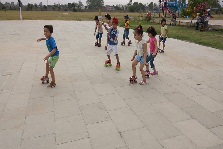 Delhi Public School-Skating