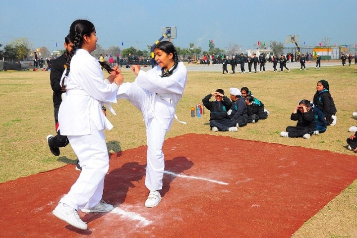 Delhi Public School-Karate
