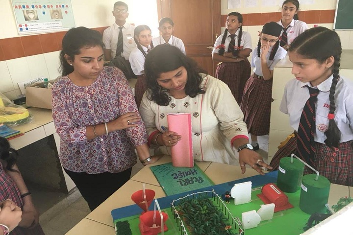 DIPS School-Exhibition