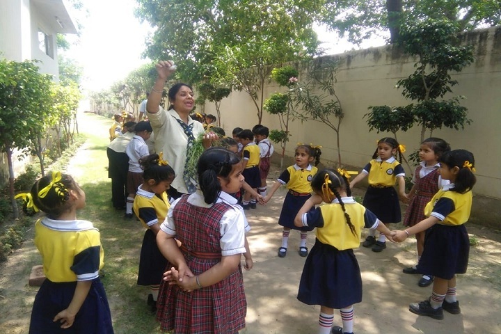 DIPS School-Activities