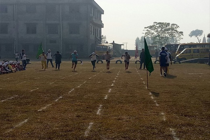 DIPS School-Sports
