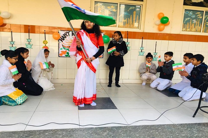 DIPS School-Republic day Celebration