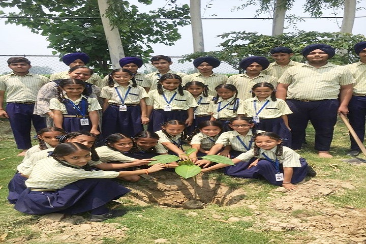 Divine Public School-Plantation