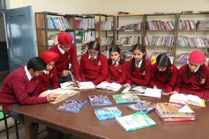 Doaba Public School- Library