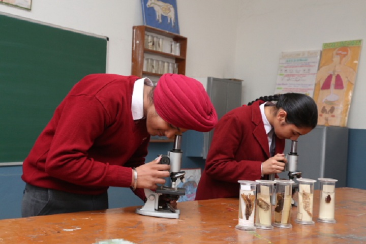 Doaba Public School- Science Lab 1