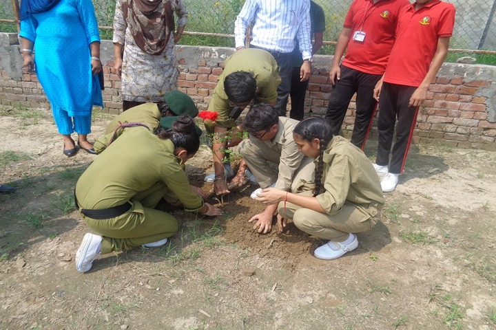 Doon Public School-Plantation