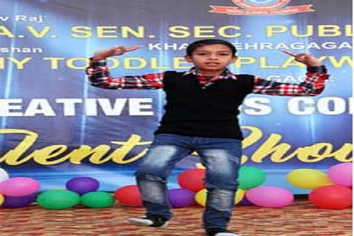 Dr Dev Raj Dayanand Anglo Vernacular Senior Secondary Public School- Events