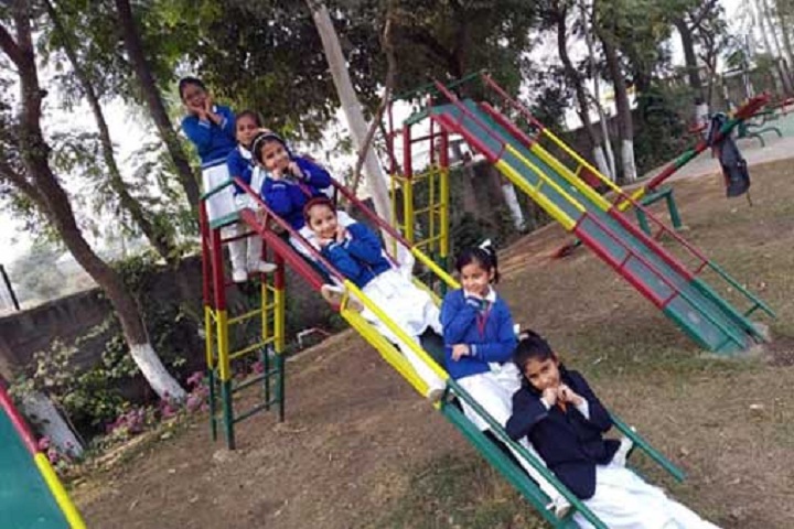 Dr Dev Raj Dayanand Anglo Vernacular Senior Secondary Public School- Playground