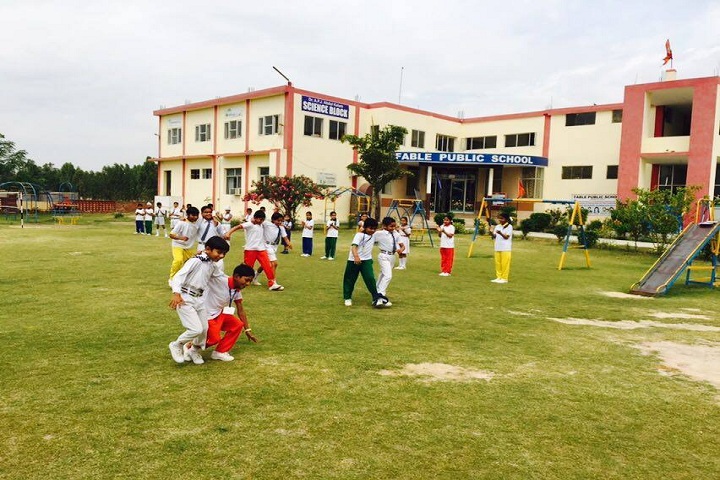 Fable Public School- Playground
