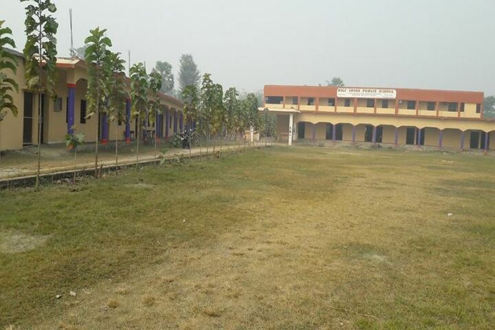 Holy Cross Public School-Play Ground