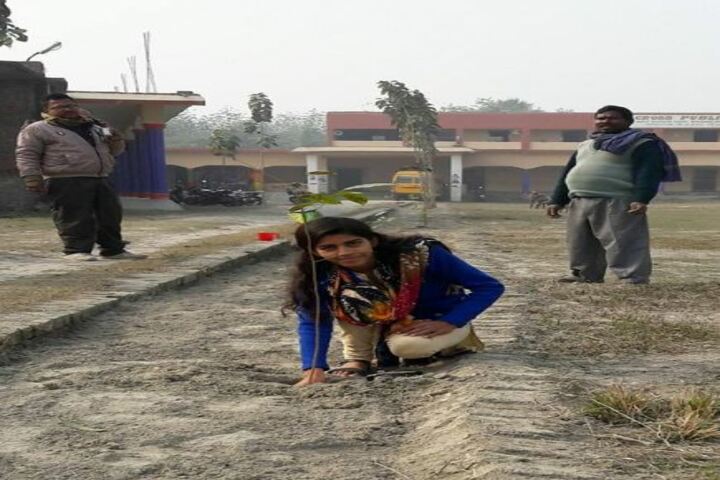Holy Cross Public School-Tree Plantation