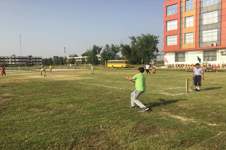 G D Goenka Public School-Cricket