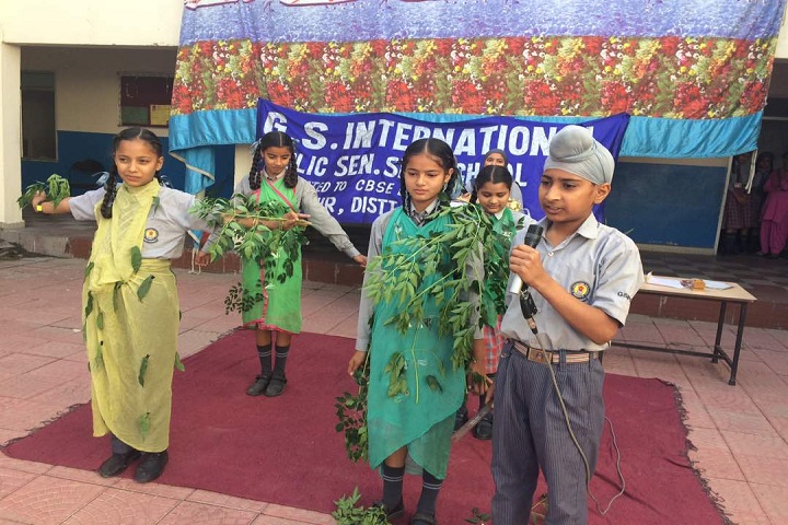 G S International Senior Secondary Public School-Other Celebrations