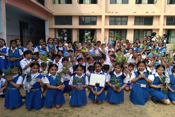Gem Public School-Plantation