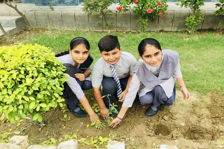 Golden Days Public School-Plantation