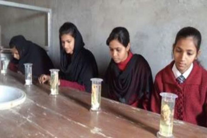 Holy Family Public School-Biology Lab