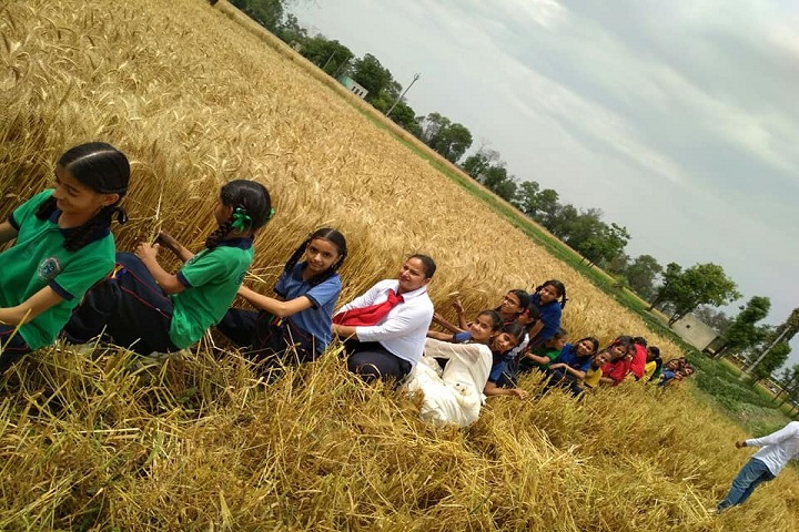 Golden Era Millennium School-Farming