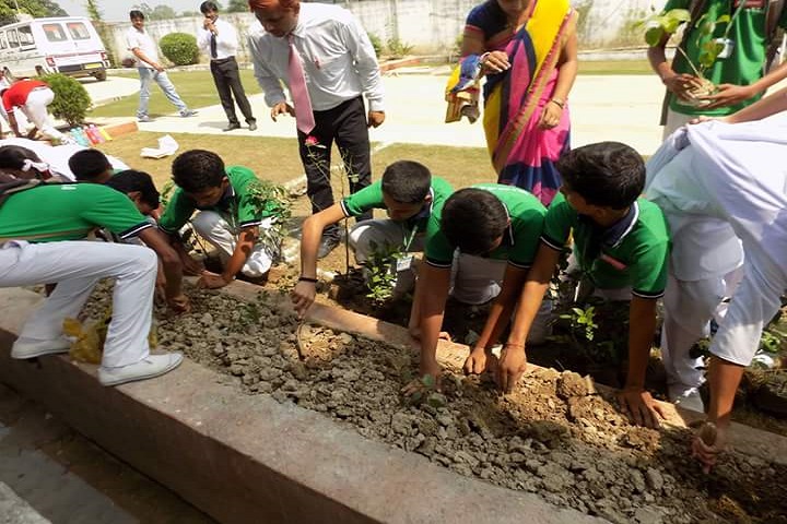 Holy Mary International School-Tree Planation