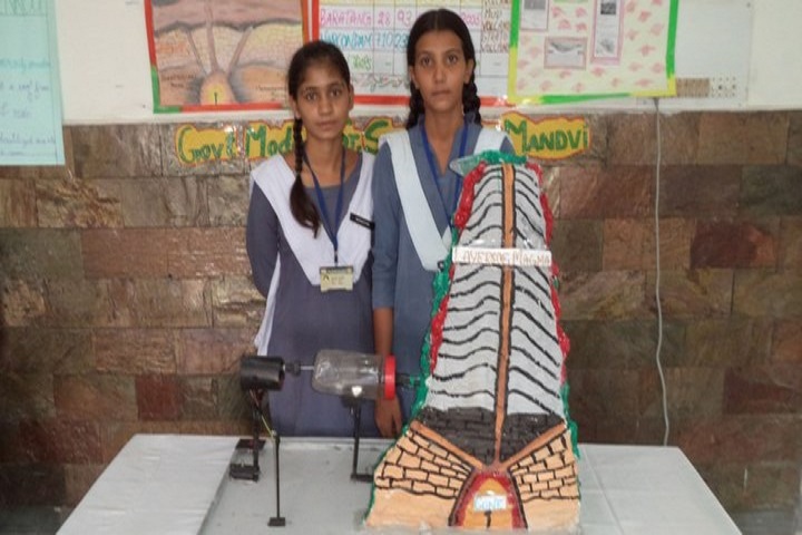 Government Model Senior Secondary School-Science Exhibition