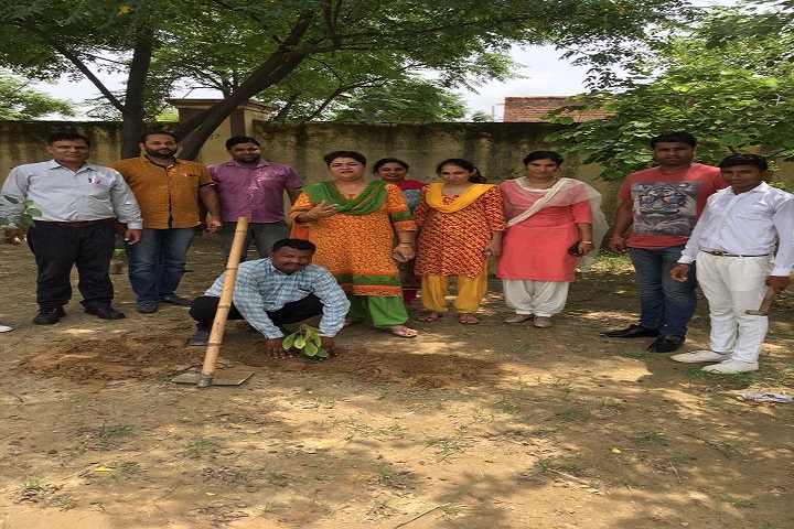 Government Model Senior Secondary School-Tree Plantation