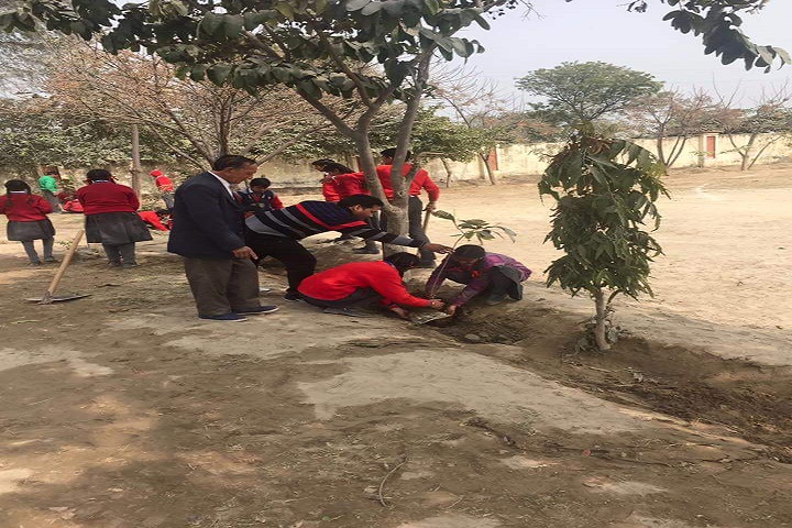 Government Model Senior Secondary School-Tree Plantation