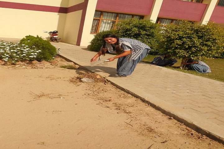 Government Model Senior Secondary School-Cleaniness Campaign