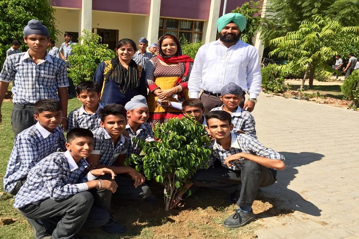 Government Model Senior Secondary School-Tree Plantation
