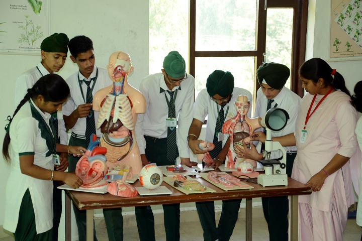 Green Valley Public School-Biology Lab