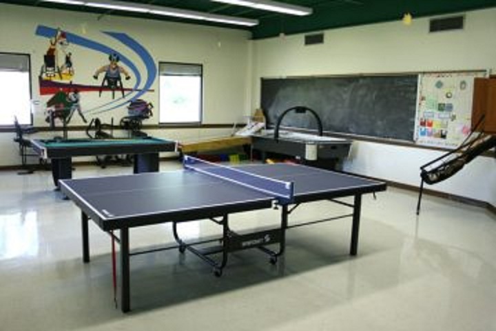 Guru Nanak Dev Public School-Indoor Games
