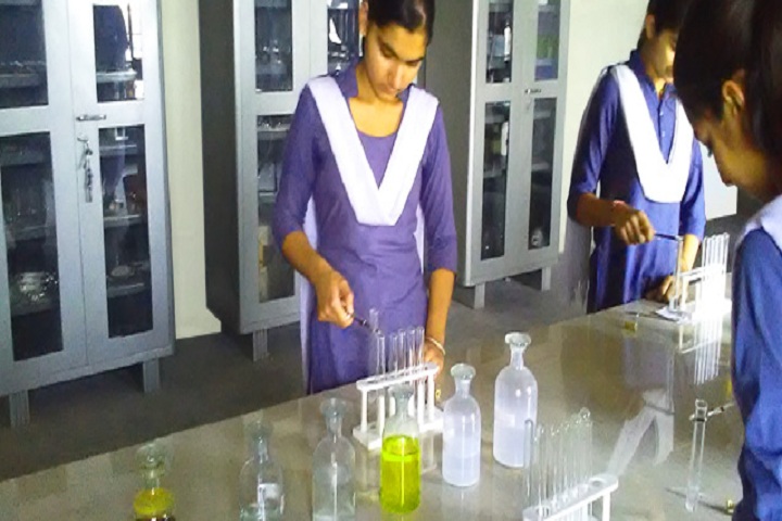 Guru Nanak Dev Public Senior Secondary School-Laboratory chemistry