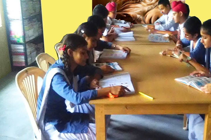 Guru Nanak Dev Public Senior Secondary School-Library