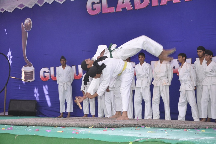 Guru Teg Bahadur Pub School-karate