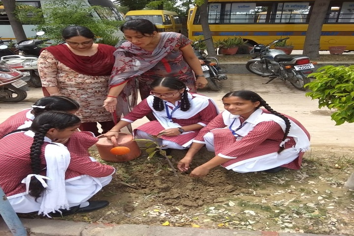 Holy Angel School-Plantation